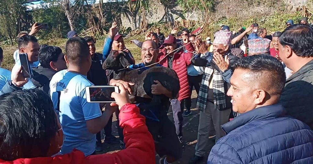 रेबानलाई खसी, ट्याक्सिलाई बोका