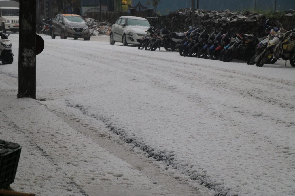 पोखरामा भिषण असिनापानी, हिउँदे बालीमा व्यापक क्षेती (भडियोसहित)