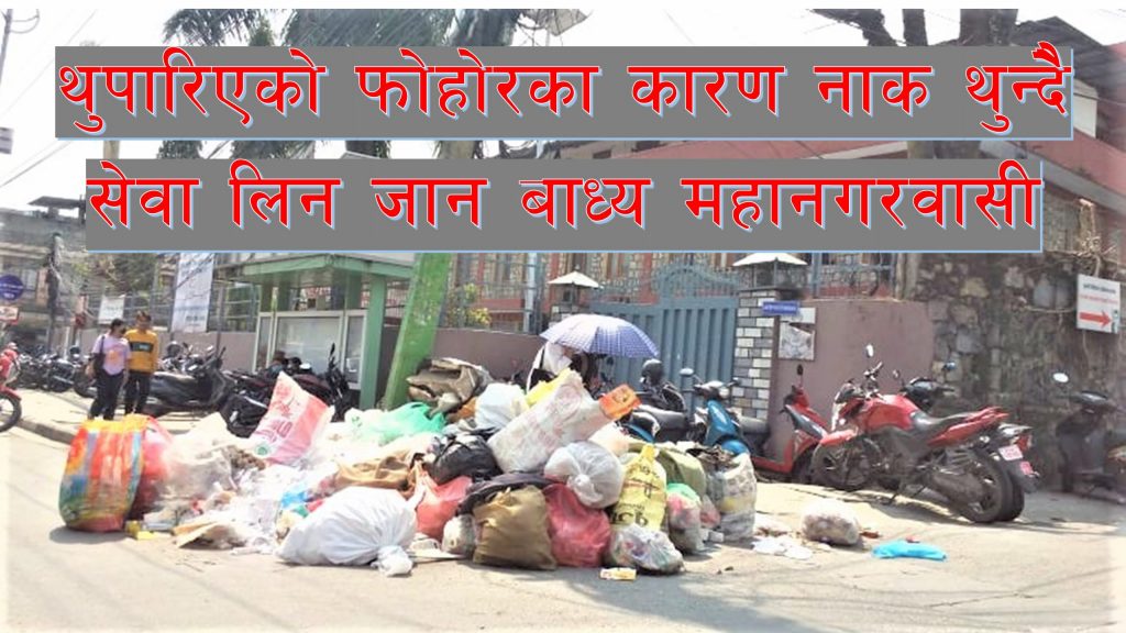 चार दिन देखि उठेन पोखराको फोहोर, महानगरकै गेट अगाडि डंगुर
