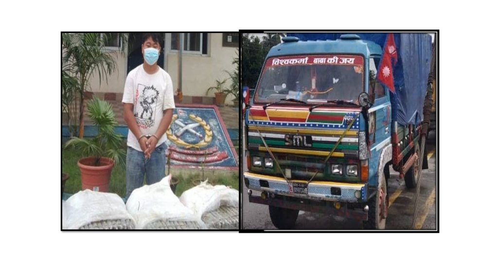 भारत लैजादै गरेको १५६ केजी गाँजा सहित ट्रक र चालक नियन्त्रणमा