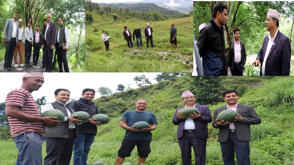 कृषकको पाखोबारीमै पुगे मेयर आचार्य  (फाेटो फिचर)