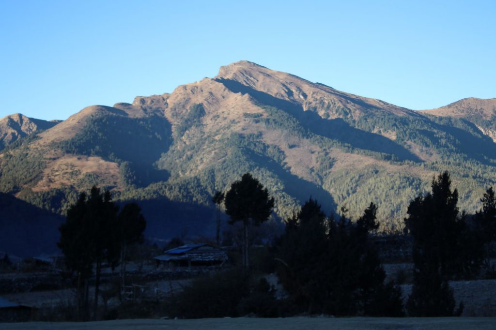 ढोरपाटन आरक्षमा बँदेलको सिकार गराइने