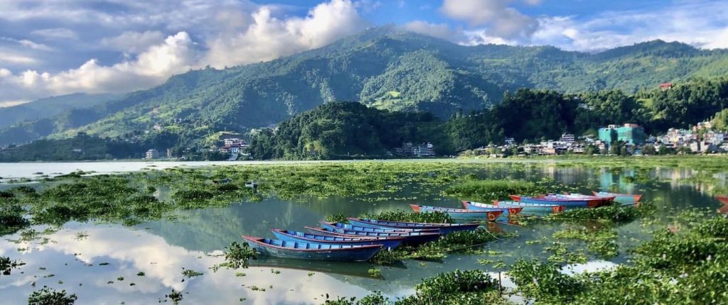 मंगलबार फेवा सफाई महाअभियान, सहभागि हुन मेयर आचार्यको आह्वान