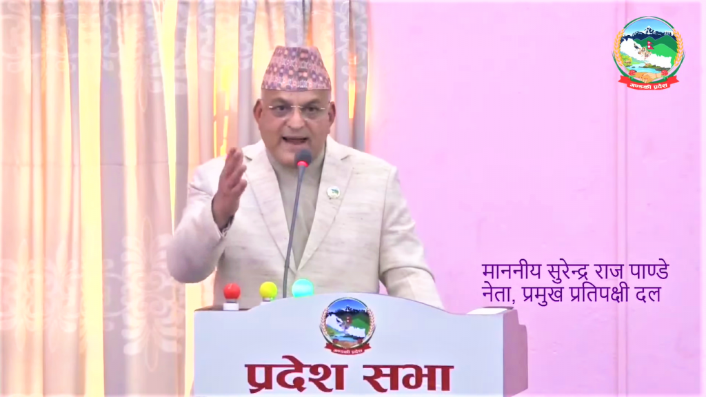 परिवर्तनकारी शक्तिलाई दोषी  देखाउने प्रयास भाइरहेको छ : नेता पाण्डे