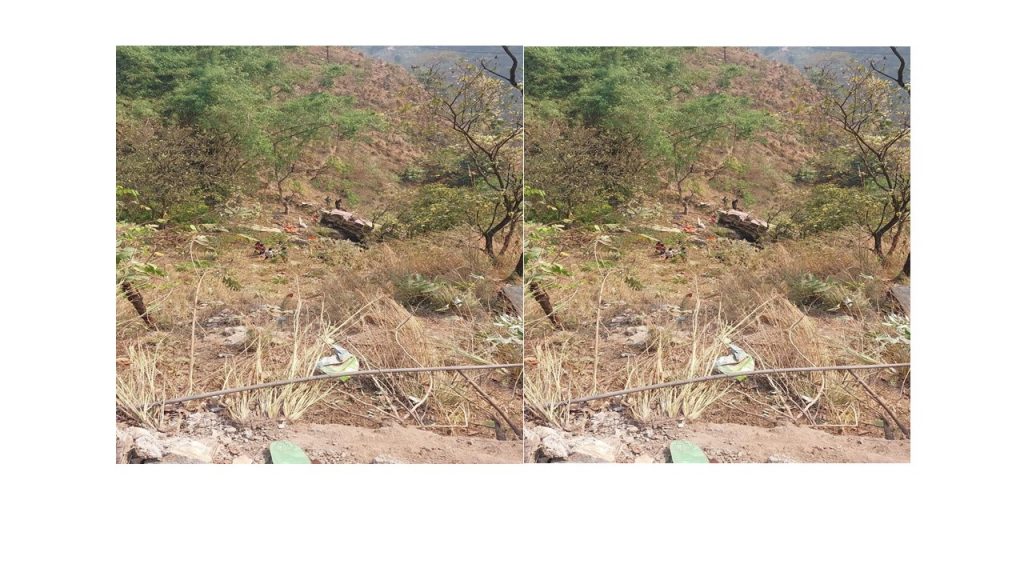 पाल्पाको जोरधारामा बस दुर्घटना