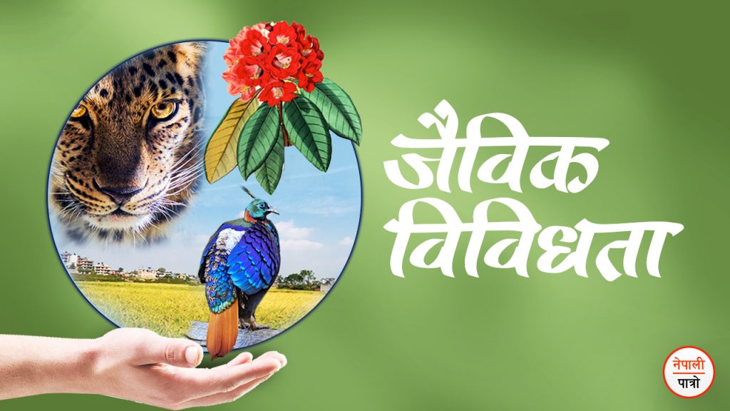 आज जैविक विविधता दिवस