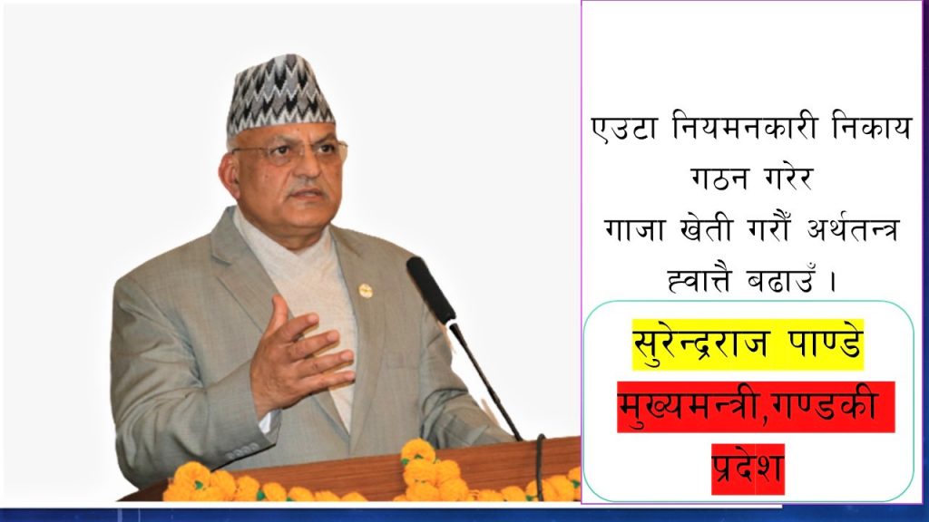 गाँजा खेती गरेर विग्रेको अर्थतन्त्र ह्वात्तै बढाउन सकिन्छ : मुख्यमन्त्री पाण्डे