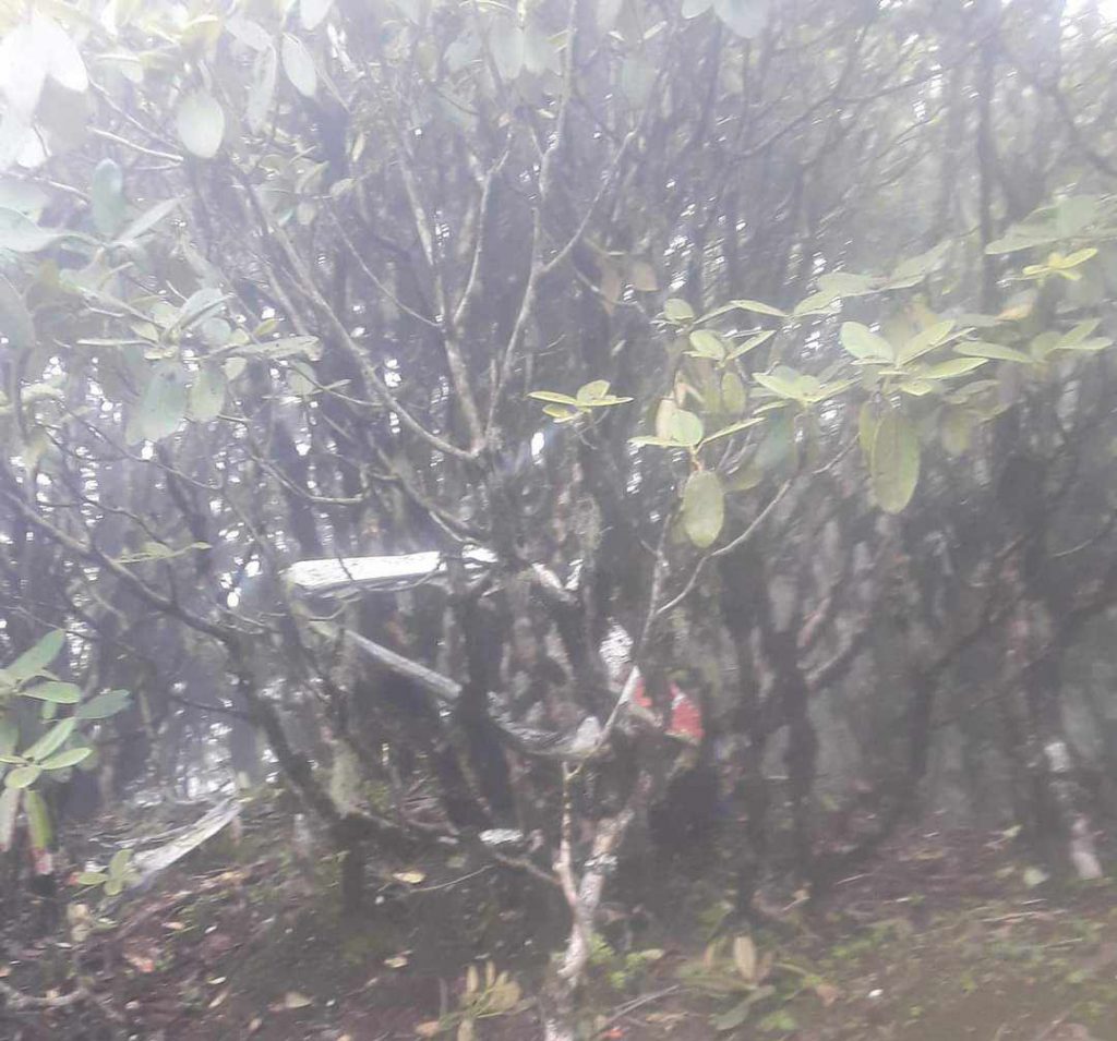 हेलिकप्टर दुर्घटना : छानबिन समिति बनाइने