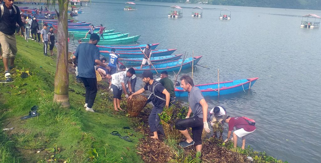 फेवाताल सरसफाईमा पर्यटन व्यवासायी
