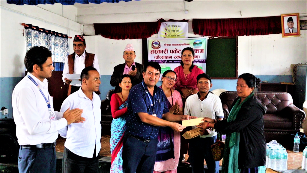 पोखरा महानगर–५ का कृषकलाई प्रोत्साहन रकम वितरण