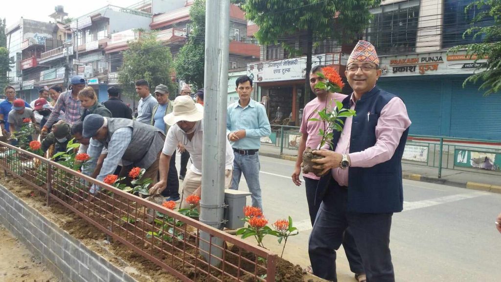न्युरोडको डिभाइडर फूलले ढकमक्क परिने, मेयर उपमेयरले रोपे विरुवा