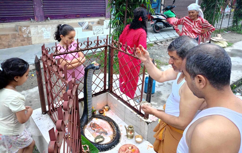 आज नागपञ्चमी, परम्परा अनुसार पूजा गरी मनाइँदै