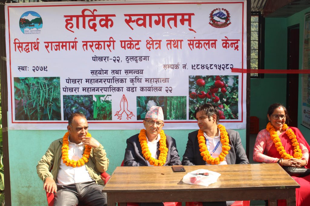 पोखरा २२ ठुलढुङ्गामा कृषि उपज सङ्कलन केन्द्र सञ्चालन