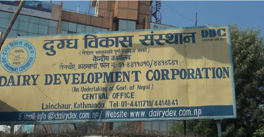 दुध उत्पादक किसानले आज डीडीसी कार्यालयमा धर्ना दिने
