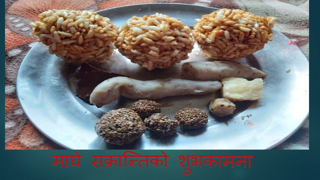 आज माघे सक्रान्ति, घ्यू, चाकु, तिलका परिकार र खिचडी खाएर मनाईंदै