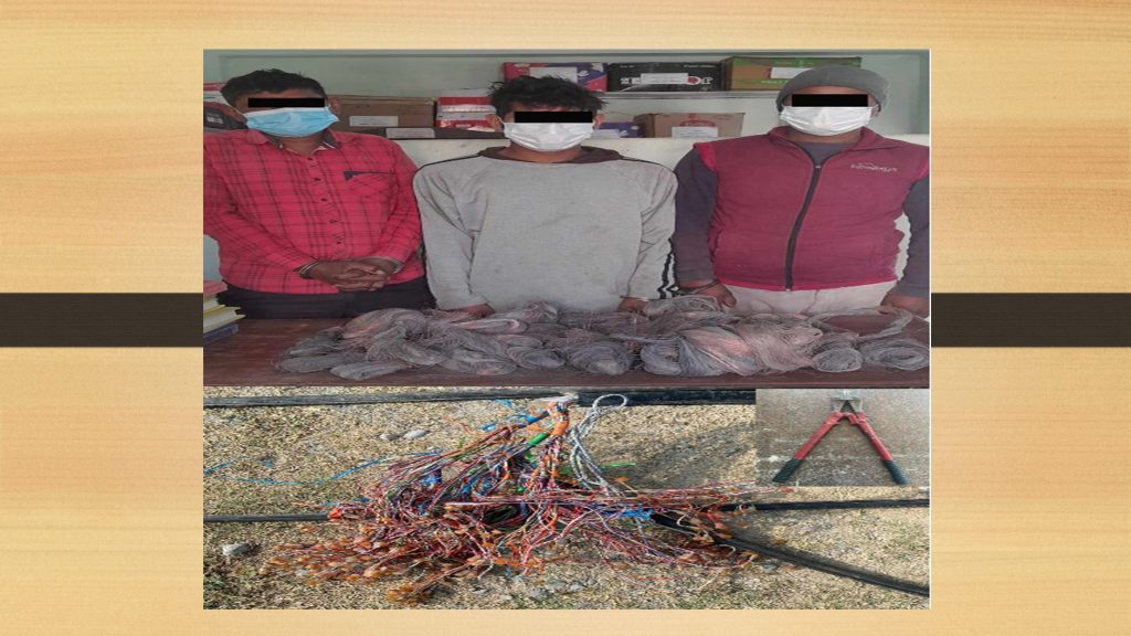 टेलिकमको कपर केबुलका तार चोरी गर्ने तीन जना पक्राउ