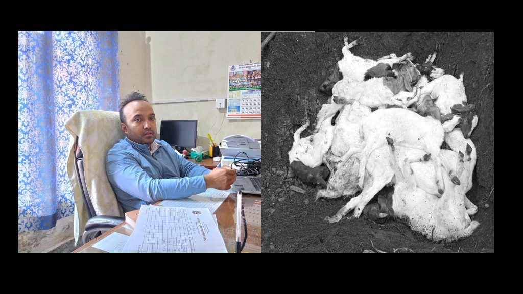 मादीको एउटै फार्ममा २८० बाख्रा मर्नुको कारण हैजाको महामारी (भिडियो)