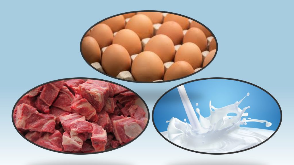 स्याङ्जा दूध, अण्डा र मासुमा आत्मनिर्भर