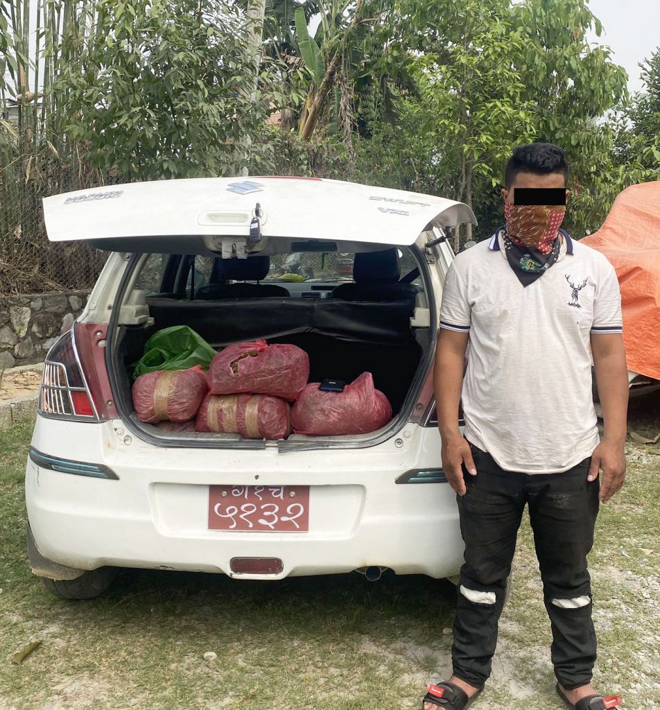 झण्डै १० केजी गाँजासहित पोखरामा एकजना पक्राउ
