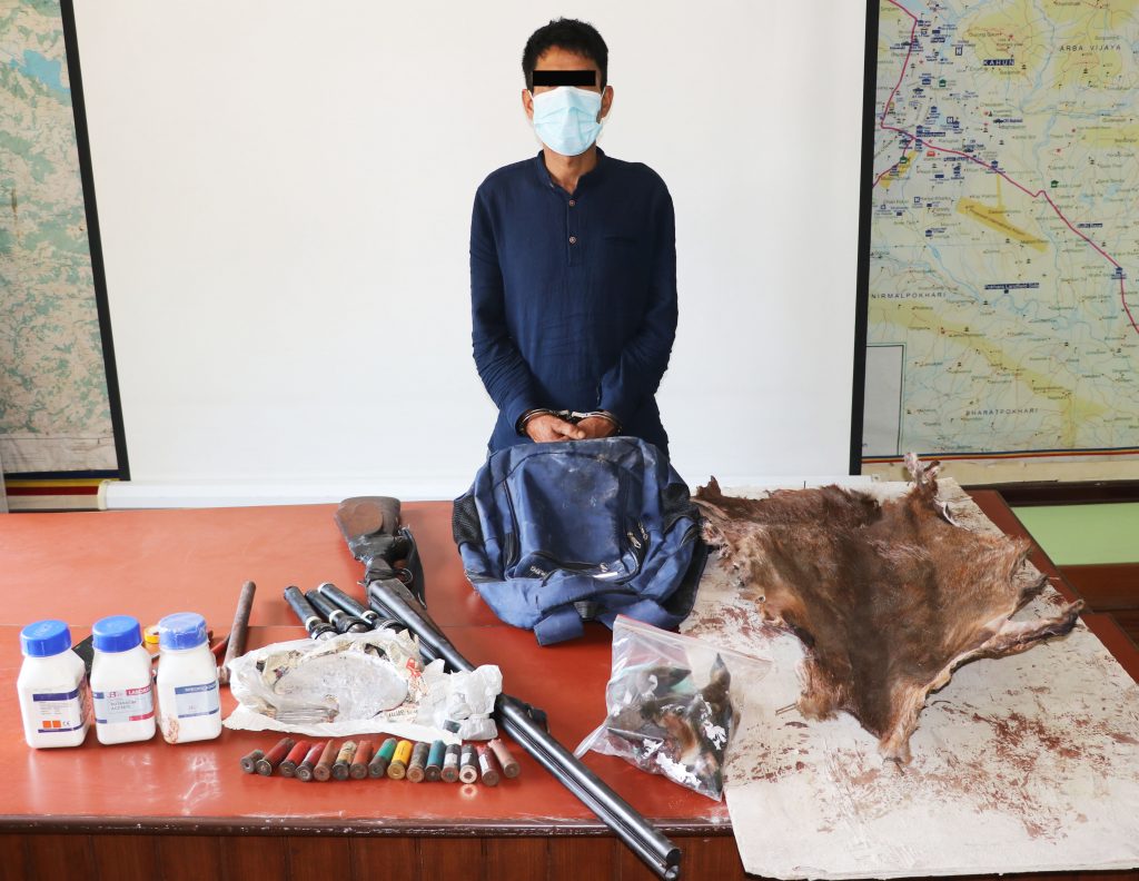 कास्कीको भलामबाट अबैध हतियार, मृगको छाला र मासु सहित दिपेन्द्र पक्राउ