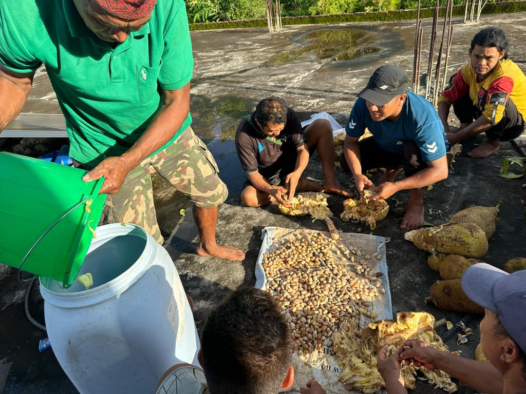 गोरखाको लखन गाउँपालिकामा फालिएको कटहरबाट वाइन बनाउँदै युवाहरु