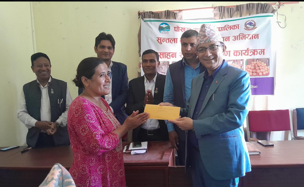 महानगरका सुन्तला कृषकलाई अनुदान