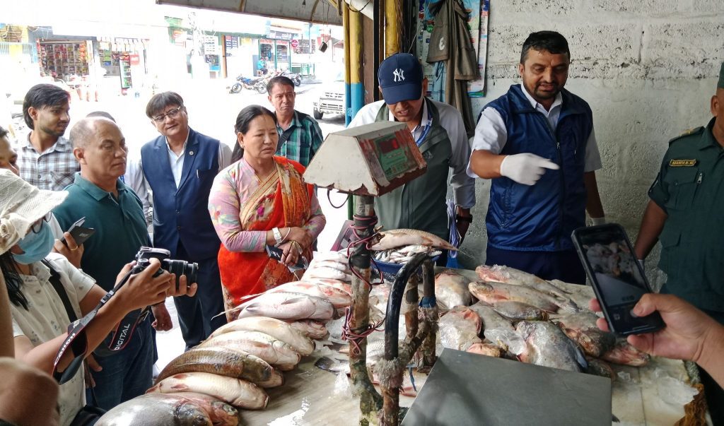 सडेको माछामासु भेटिएपछि १० पसललाई पोखरा महानगरले गर्यो कारबाही