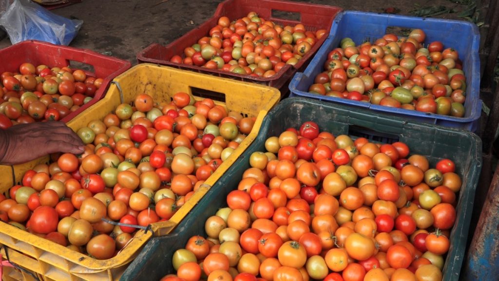 पोखरामा आज गोलभेडाँको भाउ घट्यो (सूचीसहित)