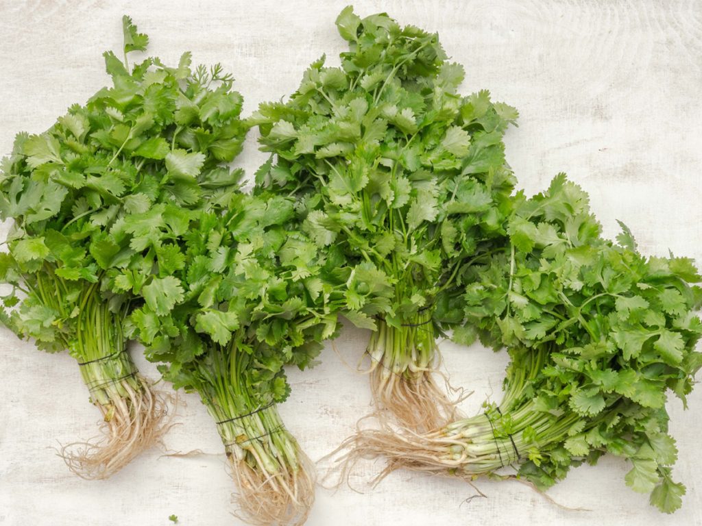 पोखरामा धनियाँ के.जीको ५०० रुपैयाँ, आज अन्य तरकारीको भाउ कस्तो छ ? (मुल्य सूचीसहित)