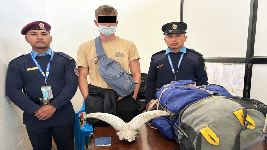 संरक्षित बन्यजन्तुको सिंङ सहित एक विदेशी नागरिक पक्राउ