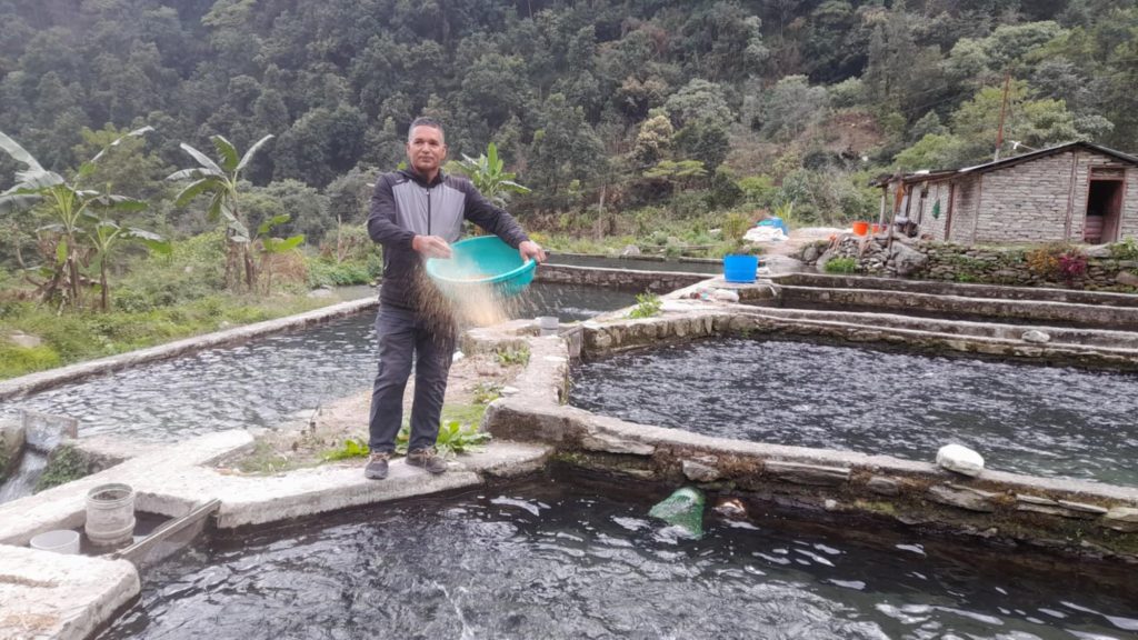 माछा बेचेर वार्षिक तीन करोड कमाउदैं पर्वतका विकास तिमिल्सिना