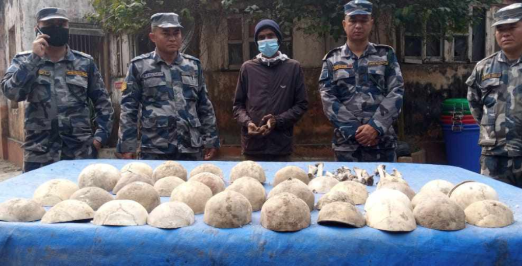 ३८ वटा मानव कंकालसहित एक पक्राउ