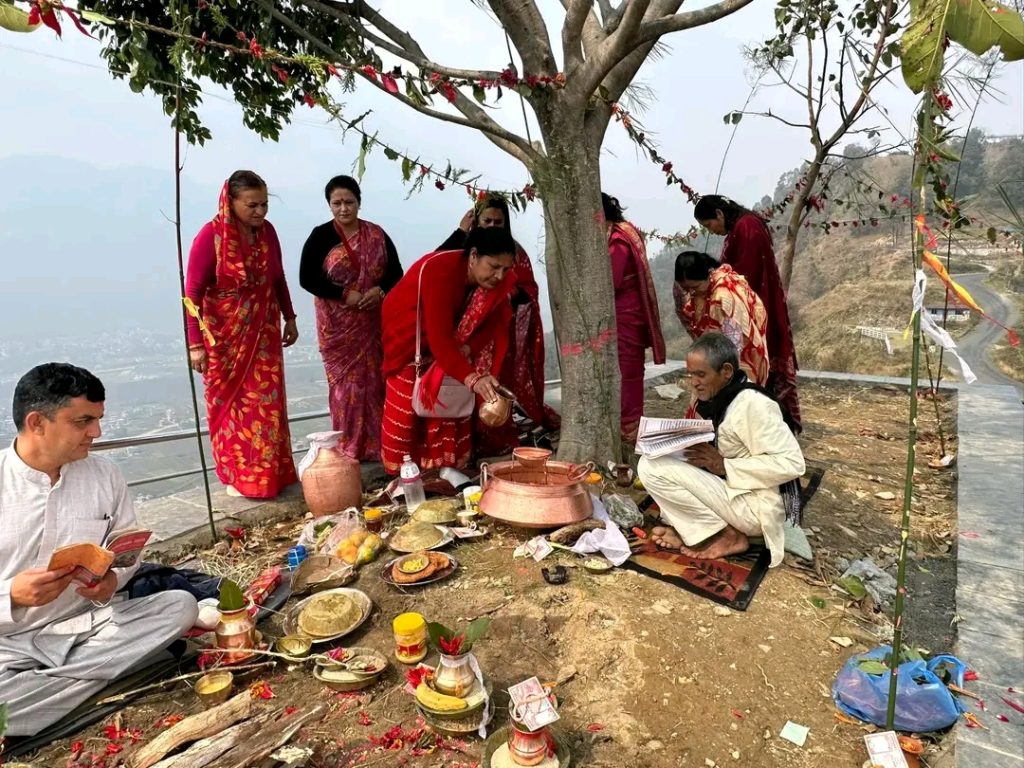 वर पिपल चौतारी संरक्षण गर्दै लामाचौरका आचार्य परिवार