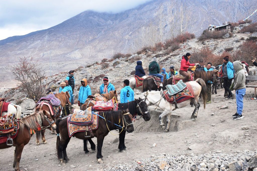 मुक्तिनाथमा घोडा र स्टेचर सुविधाले दर्शनार्थीलाई सुविधा