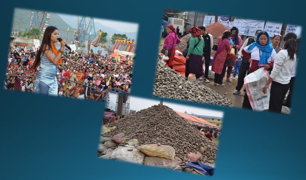 राष्ट्रिय हेमजा आलु महोत्सवमा रमाउँदै आलु किन्नेको भीड