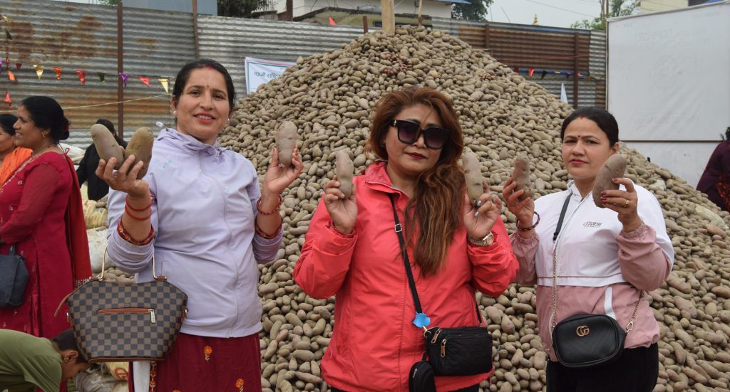 राष्ट्रिय आलु महोत्सवमा आलुको पहाडसँगै तस्विर खिच्नेको भीड