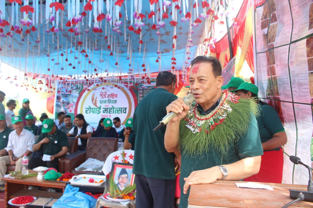 धान जीवन, संस्कृति र आत्मनिर्भरको मेरुदण्ड : मन्त्री थापा