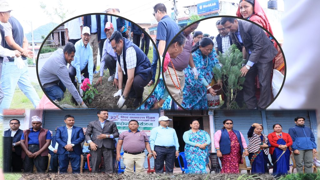 पोखरा महानगरको दुई वर्षमा दुई लाख २६ हजार विरुवा रोप्ने अभियान