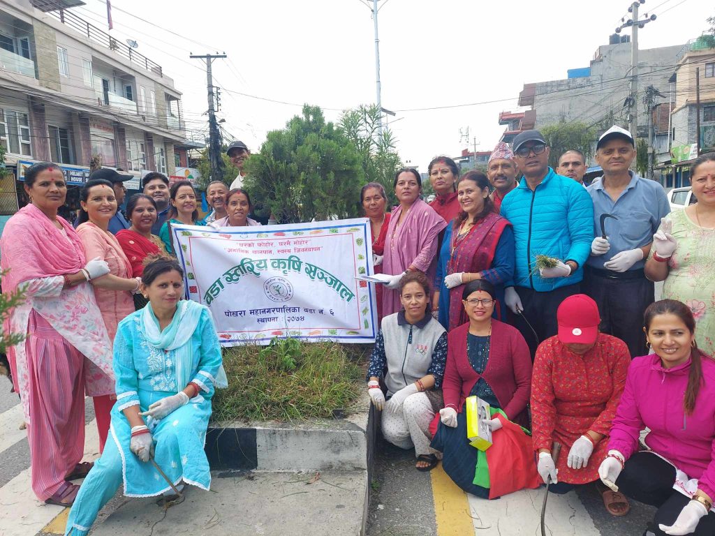 विश्व वातावरण दिवसको अवसरमा डिभाइडरमा फुलका बिरुवा रोपियो