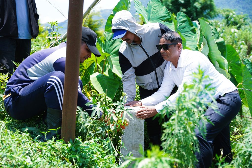 फेवा तालको मापदण्ड कायम गर्न थालिएको पिल्लर गाड्ने काम जारी