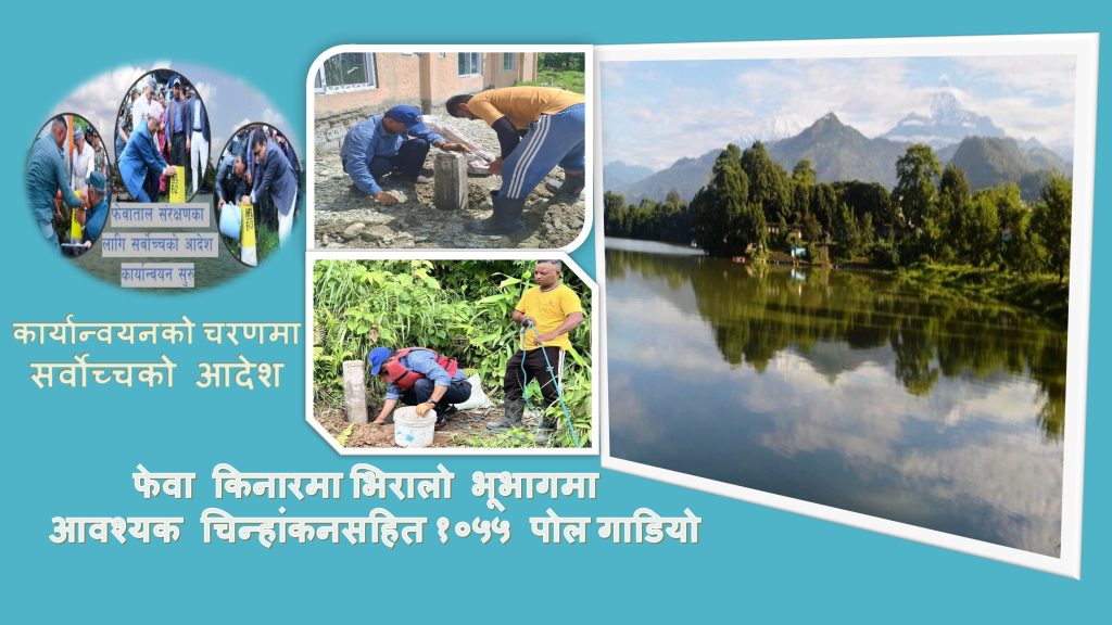 फेवा किनारमा पोल गाड्ने काम सकियो