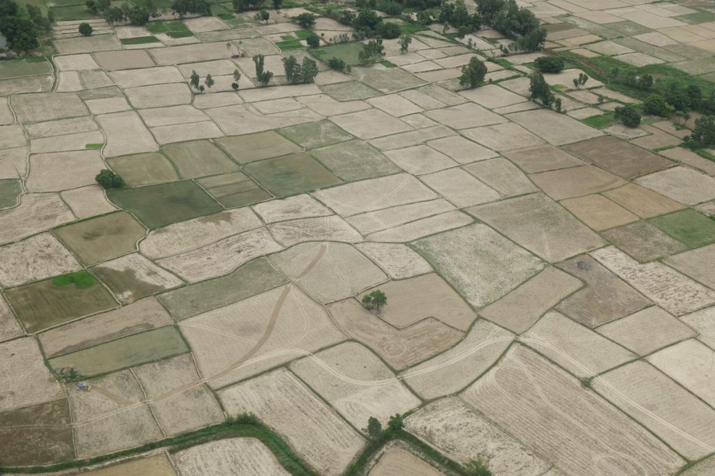 प्रधानमन्त्रीद्धारा तराई मधेसको सुख्खा क्षेत्र अवलोकन