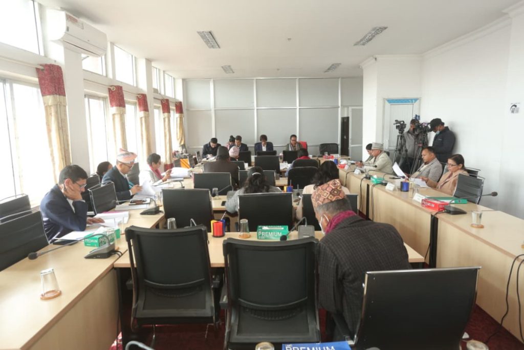 चलचित्र विधेयकको मस्यौदा प्रतिवेदन पारित