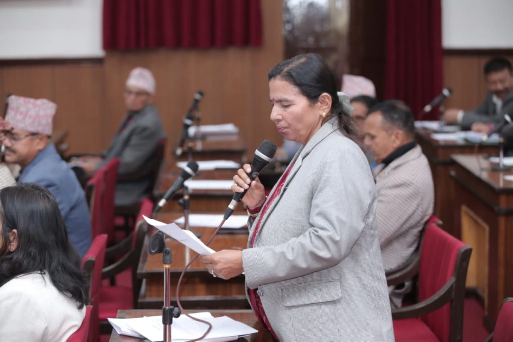 चुनावी अभियानमा नेपाली झण्डाको प्रयोग गर्न रोक लगाउन माग