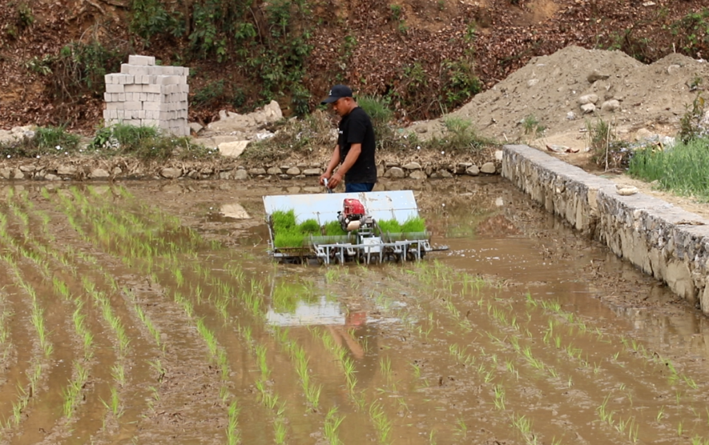 कृषिमा यान्त्रिकीकरणतर्फ कास्की, ‘मिनी राइस प्लान्टर’ परीक्षण