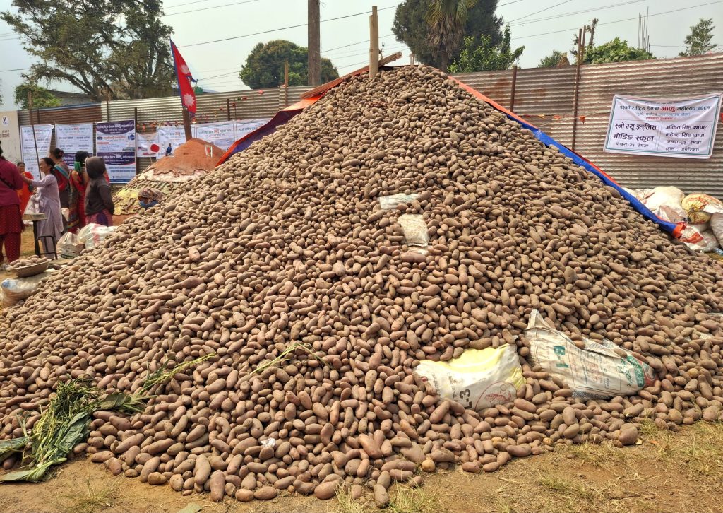 १४ औँ राष्ट्रिय हेमजा आलु महोत्सव चैत २७ गतेदेखि