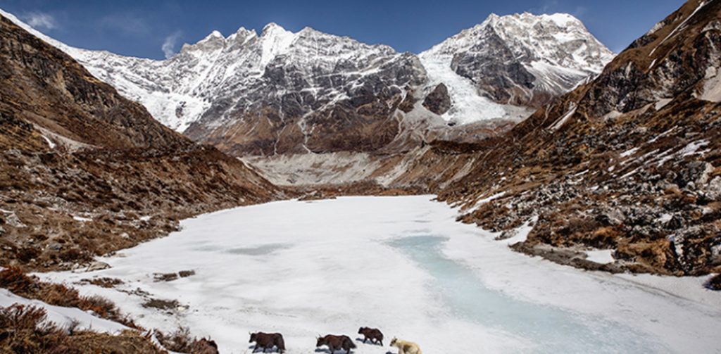 आज विश्व हिमनदी दिवस