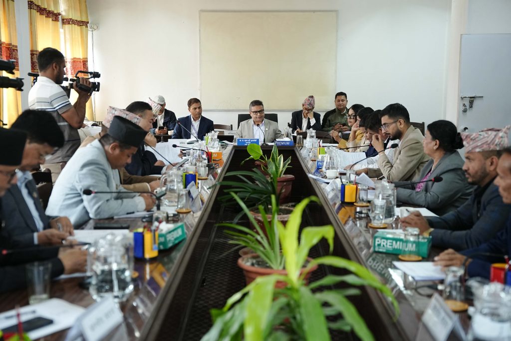 अर्थ समिति अन्तर्गतका ४ वटा उपसमिति गठन