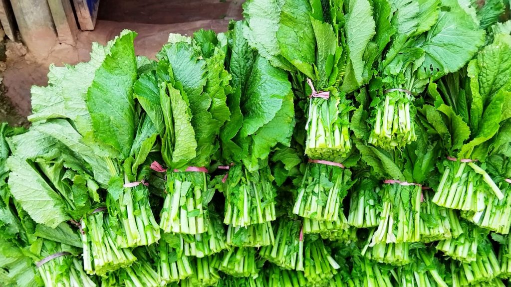 रायोको सागमा भेटियो विषादी