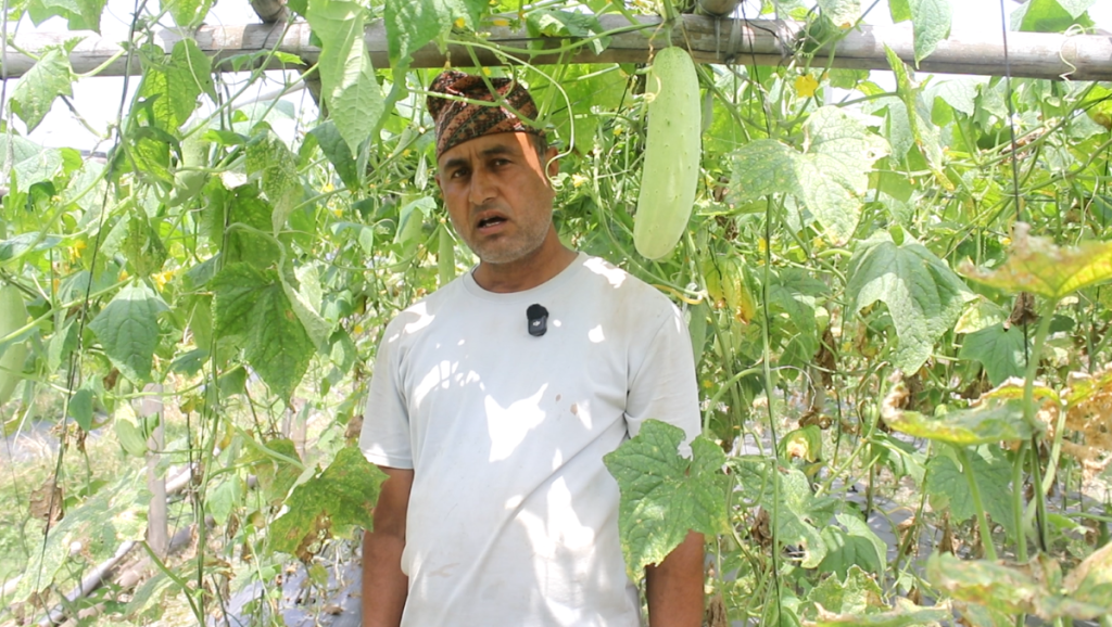 १५ वर्ष साउदीमा बिताएका इन्द्र, जसले बेमौसमी तरकारी लगाएर वार्षिक ३० लाख बचाउँछन्